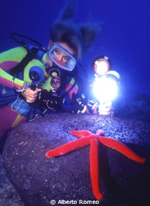 A red fishstar on a very big black sponge with a diver ba... by Alberto Romeo 